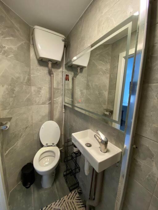One Bedroom Putney Village Flat Londres Exterior foto
